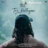 Tur Kalleyan - Laal Singh Chaddha